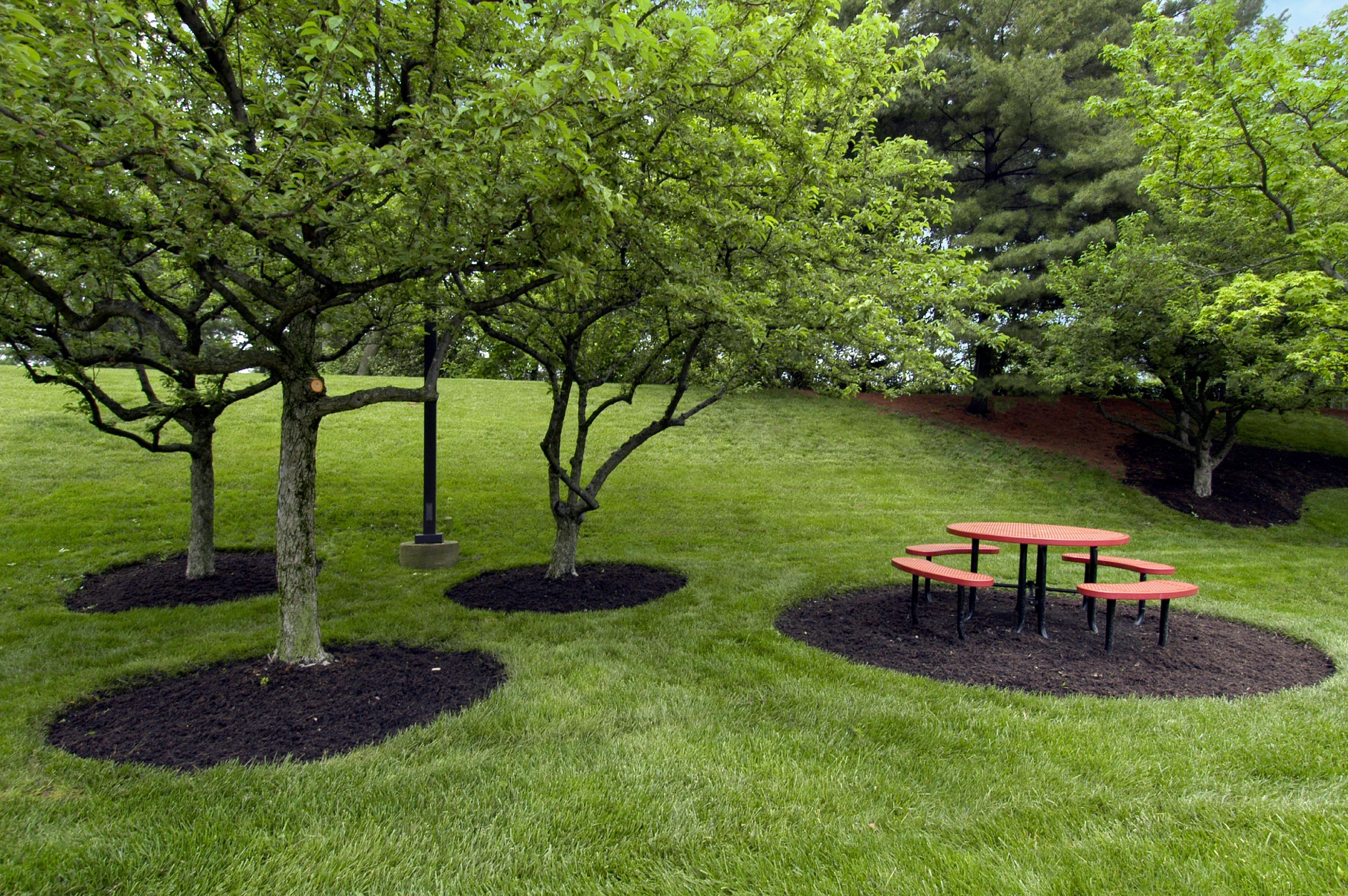 Red Roof Inn Cincinnati Northeast - Blue Ash Ngoại thất bức ảnh