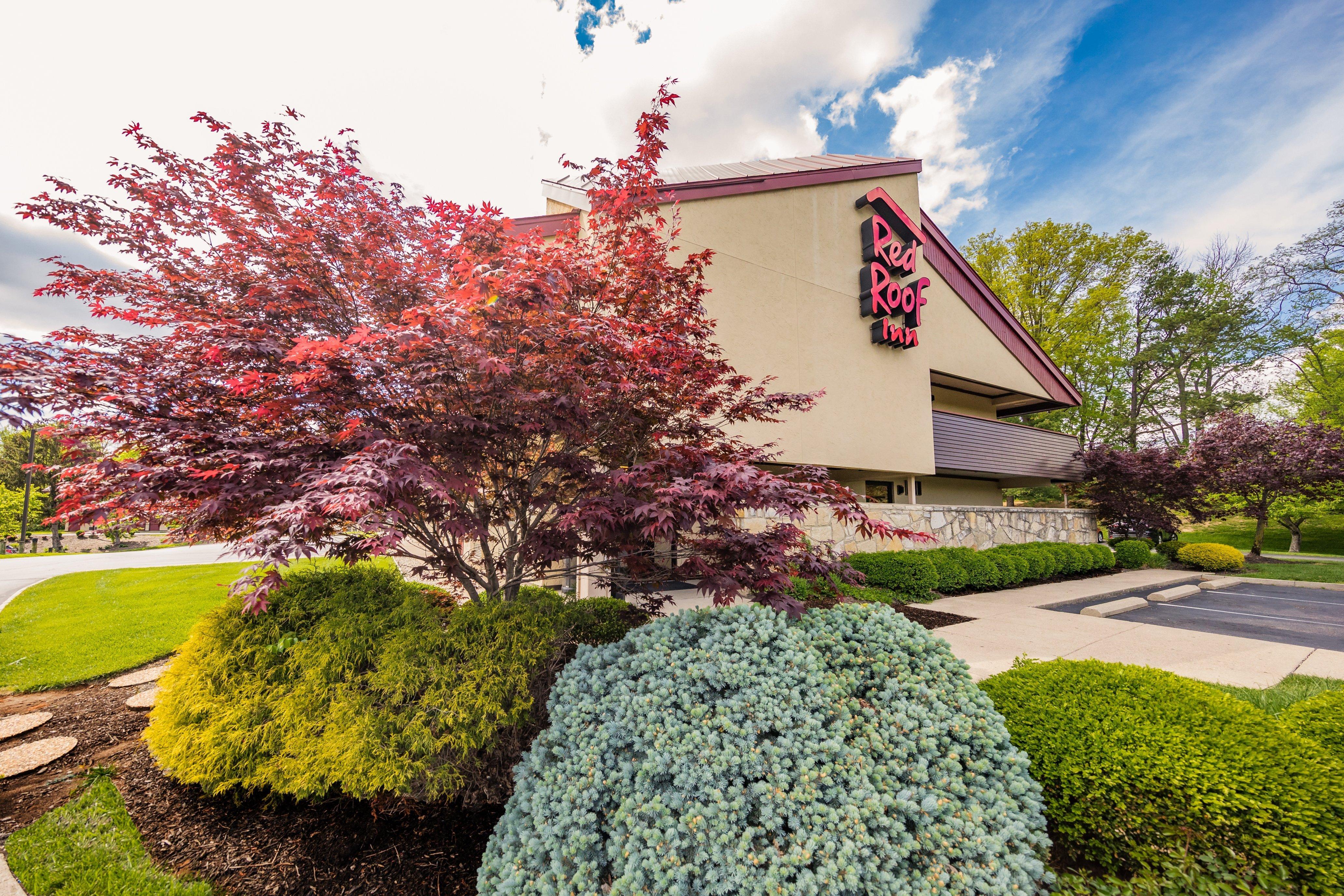 Red Roof Inn Cincinnati Northeast - Blue Ash Ngoại thất bức ảnh
