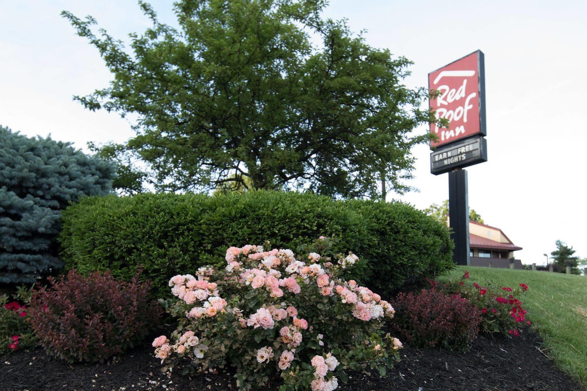 Red Roof Inn Cincinnati Northeast - Blue Ash Ngoại thất bức ảnh